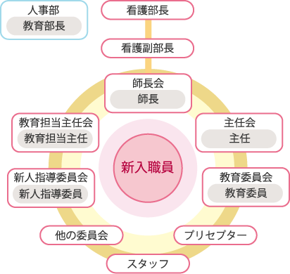教育体制 図解